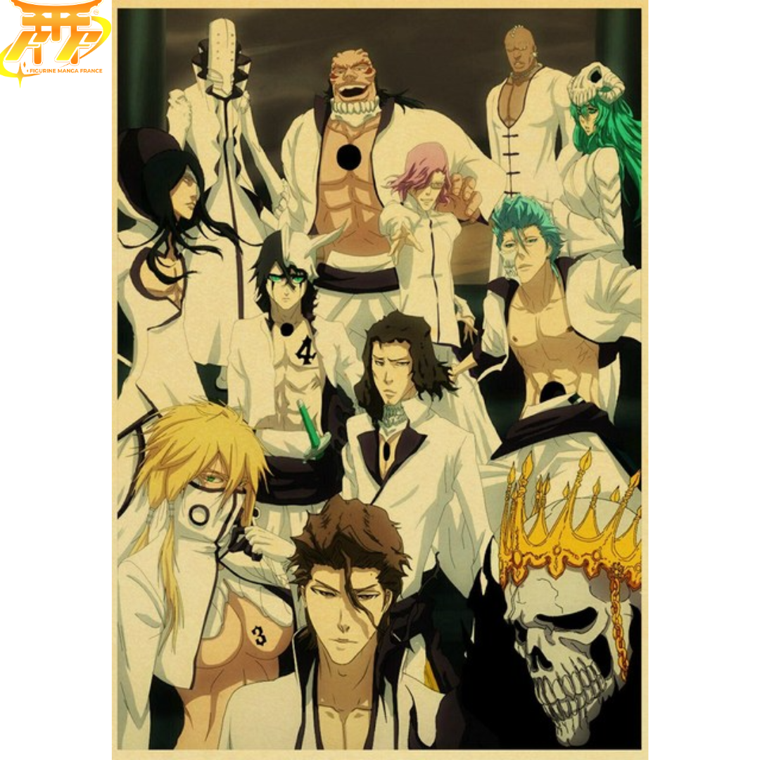 poster-espada-bleach™