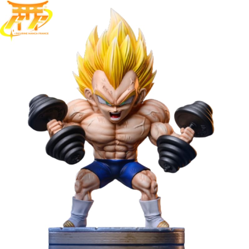 figurine-vegeta-musculation-dragon-ball-z™